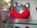 Ladies Undergarment Bra