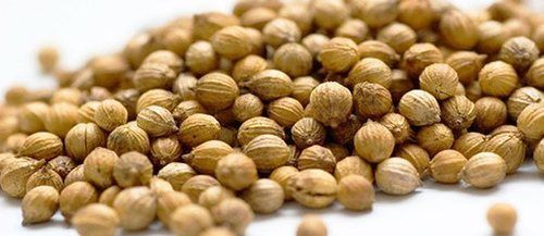 Coriander Seeds