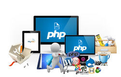 Website Development Service