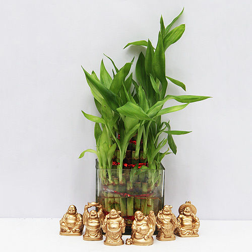 Lucky Bamboo With Set Of 6 Laughing Buddha