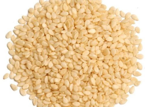 Organic Sesame Seeds - Rich Nutty Flavor, High Oil Content, Drought Tolerant