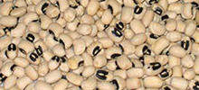 Chawli Seeds