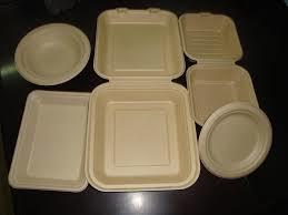 Disposable Bagasse Plates