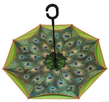 Driving Umbrella With Reverse Folding