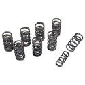 Engine Valve Springs