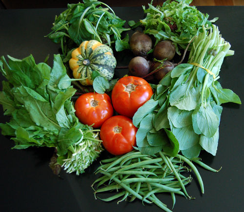  मेरी खेती की ताज़ी सब्जियाँ 