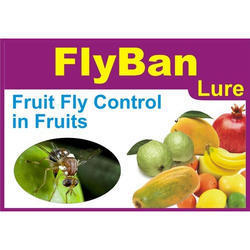 Fruit Fly Lure