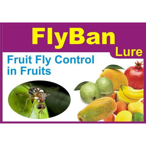 Mango Fly Lure