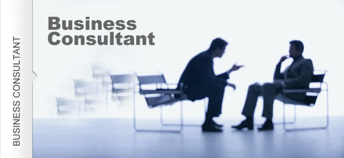 Business Consultant Services