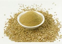 Coriander Seeds Powder