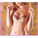 Ladies Brownish Fancy Bra