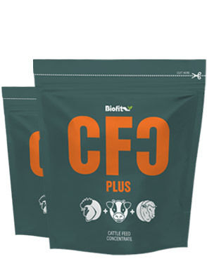 Cfc Plus Cattle Feed Concentrate