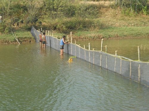 Sri Ram Fishnets in Nagercoil Town,Nagercoil - Best Fishing Net Dealers in  Nagercoil - Justdial