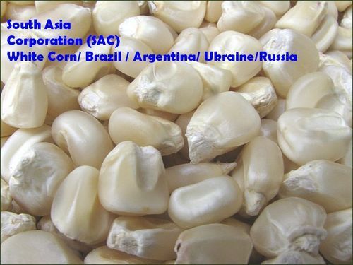 White Corn