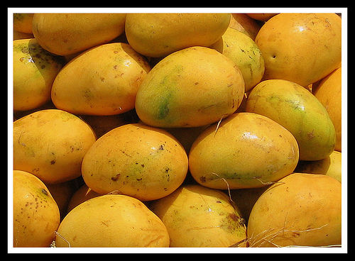 Banganapalli Mangoes