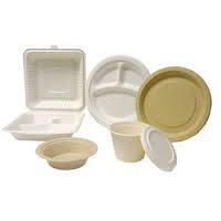 Eco-Friendly Disposable Plates