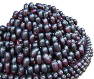 Pure Jamun Extract