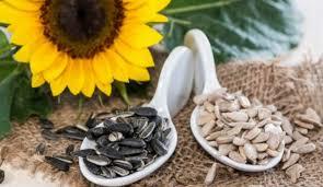 Sunflower Seeds