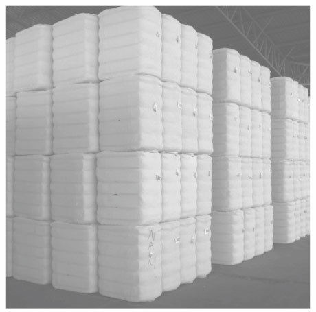 Cotton Bales