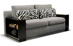 Two Sitter Stylish Sofa