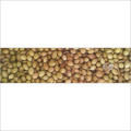 Finest Whole Coriander Seeds