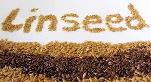 Fresh Linseed