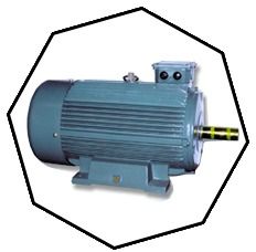 Three Phase Motors