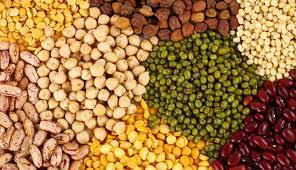 Indian Pulses 