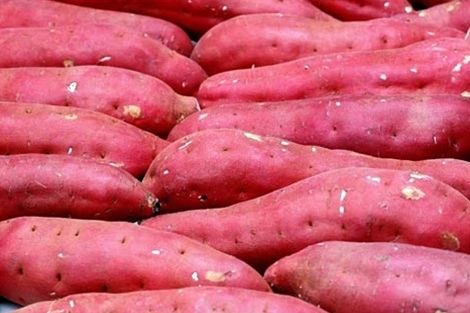 Sweet Potatoes