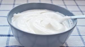 Veg Mayonnaise