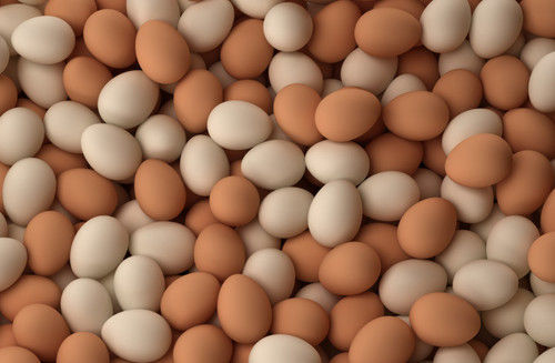 Fresh Brown And White Chicken Eggs  Egg Weight: 75Gsm Grams (G)