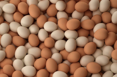 ताजा भूरे और सफेद चिकन अंडे 