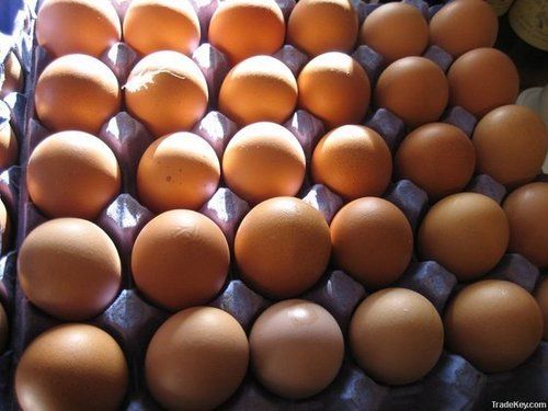 Brown And White Table Eggs