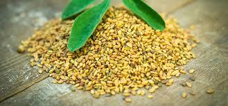 Fenugreek Seeds