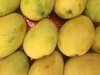Fresh Mango Fruits