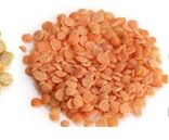 Red Lentil