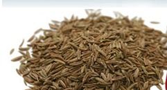 Cumin Seeds