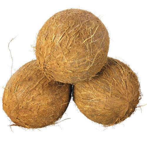 Brown Fresh Coconut