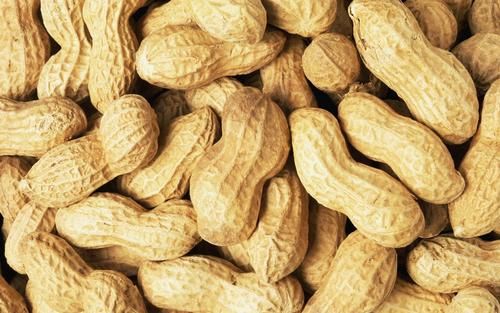 Groundnut