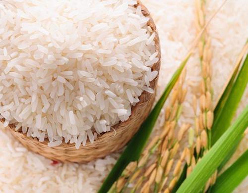 White Rice