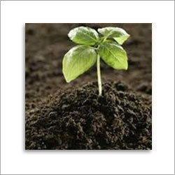 Fertilizer Soil Analysis Solutions