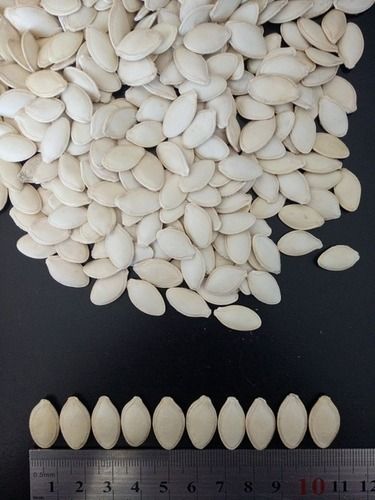 Melon Seeds