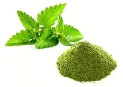 Mint Leaves Powder