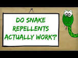 All Colours Snake Repellent Service