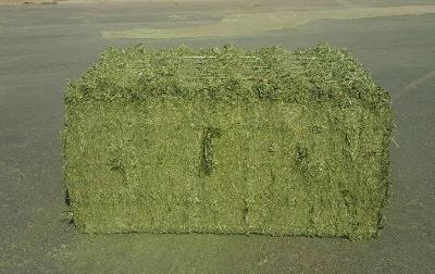 Dehydrated Alfalfa Hay
