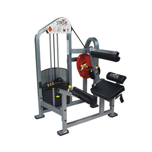 Low Back Extension Machines