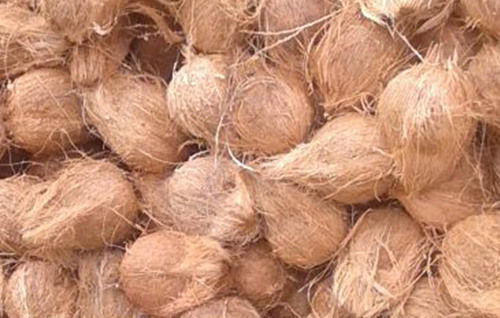  अर्ध भूसा हुआ नारियल