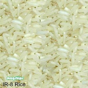 IR-8 Non-Basmati Rice