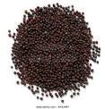 Black Mustard Seeds