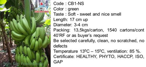 Fresh Cavendish Banana